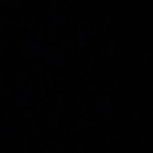 Meet your Posher, Brady